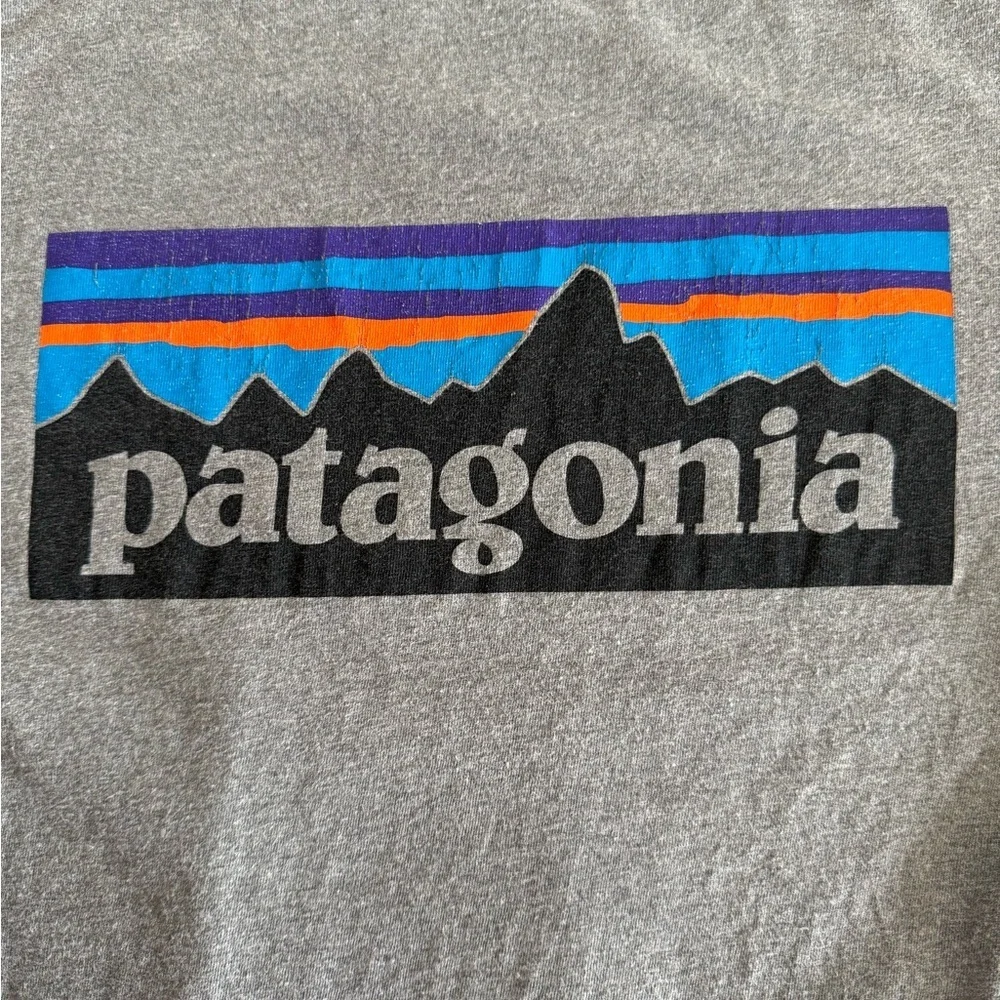 Patagonia Gray Short Sleeve Tee Classic Crew Neck - Picture 4 of 11